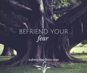 Befriend your Fear